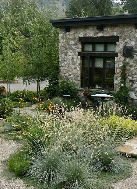 Outdoor Harmony